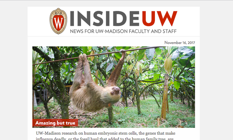 Screenshot of Inside UW E newsletter